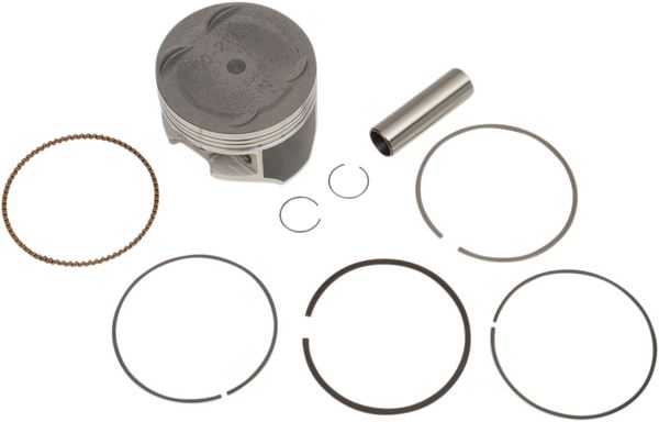 WSM Piston Kit For Honda TRX300 Ex Std 50-219K