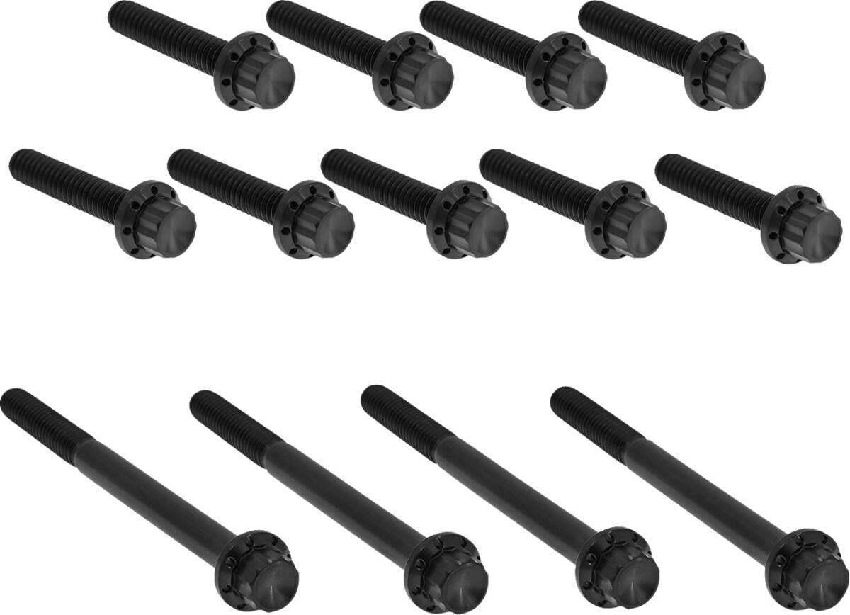 Arlen Ness Outer Primary Cover Titanium 12-Point Bolt Kit Black Titanium 300-990