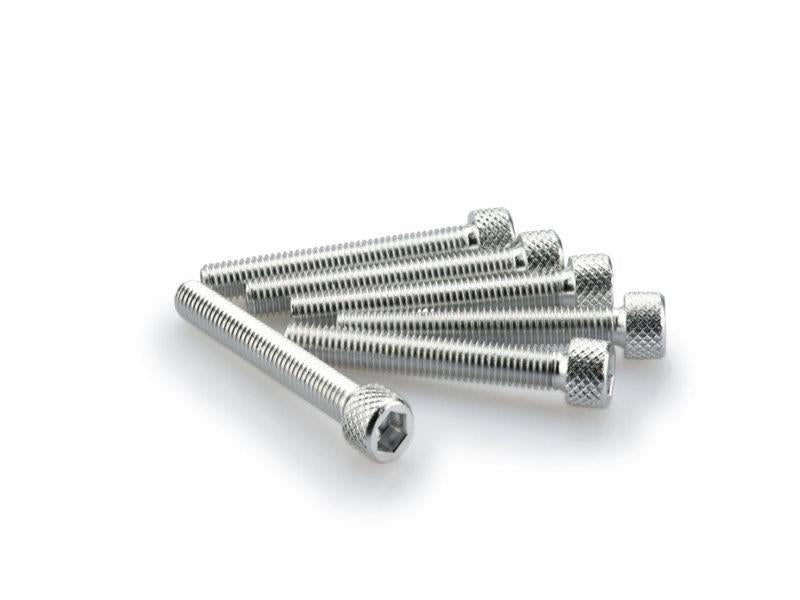 PUIG M5 45mm Allen Screws x 6 Silver Universal 0370P