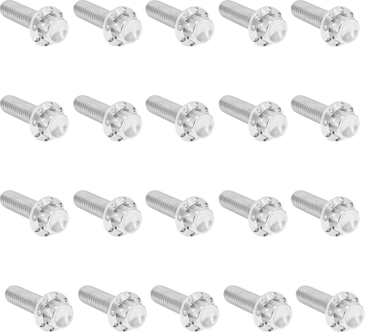 Arlen Ness Rocker Box 12-Point Titanium Bolt Kit Silver Polished 300-944
