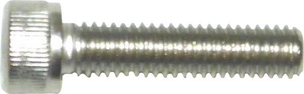 WSM Socket-Head Cover Bolt 6mm x 25mm SS Silver Allen Type Each 014-106