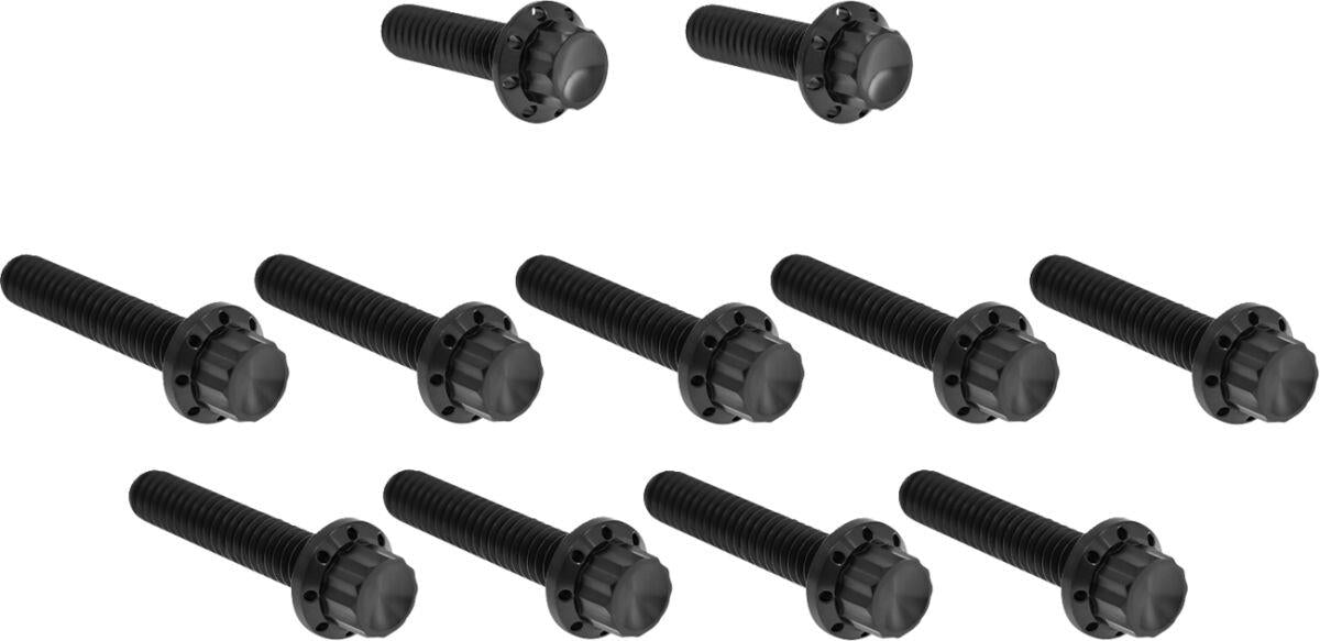 Arlen Ness Cam Cover/Point Cover Titanium 12-Point Bolt Kit Black 300-981