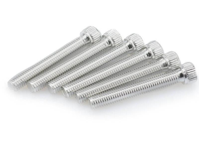 PUIG M8 55mm Allen Screws x 6 Silver Universal 0540P