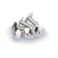 PUIG M6 Domed Screws 15mm x 6 Silver Universal 0611P