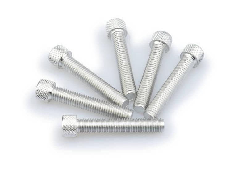 PUIG M8 45mm Allen Screws x 6 Silver Universal 0516P