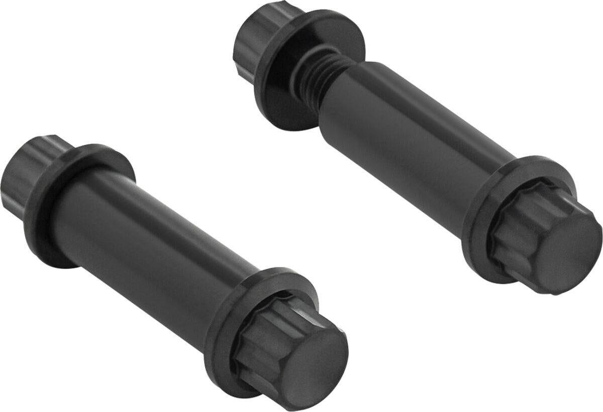 Arlen Ness Foot Peg Titanium 12-Point Bolt Kit Black Titanium Kit 300-801