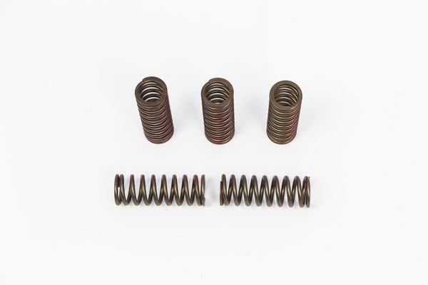 Pro Circuit Clutch Spring Set For Honda CRF 250 R 2020-2021 Bronze CSH20250-CS