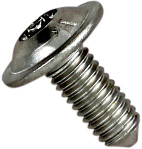 Akrapovic Replacement Exhaust Bolt SS P-FB37