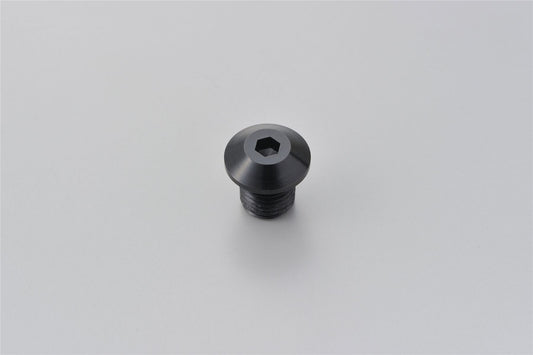 Daytona Mirror Plug Bolt Black M10 x P1.25 Right CNC Aluminum Hole Plug 99616
