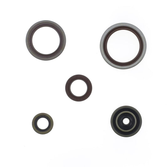 Athena Engine Oil Seal For Beta RR 300 13-24 P400060400014