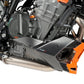 Puig Engine Spoiler Carbon Look 6483H