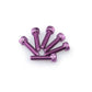 PUIG M5 20mm Allen Screws x 6 Purple Universal 0147L