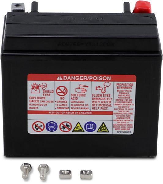 Yuasa AGM Maintenance-Free Battery For Aprilia RS 125 1985-2025 Black YTX12(WC)
