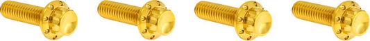 Arlen Ness Transmission Top Cover Titanium 12-Point Bolt Kit Gold 300-979