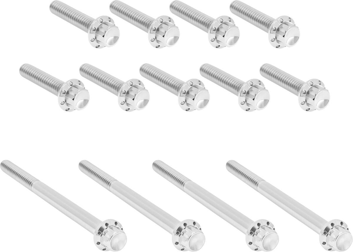 Arlen Ness Outer Primary Cover Titanium 12-Point Bolt Kit 300-989