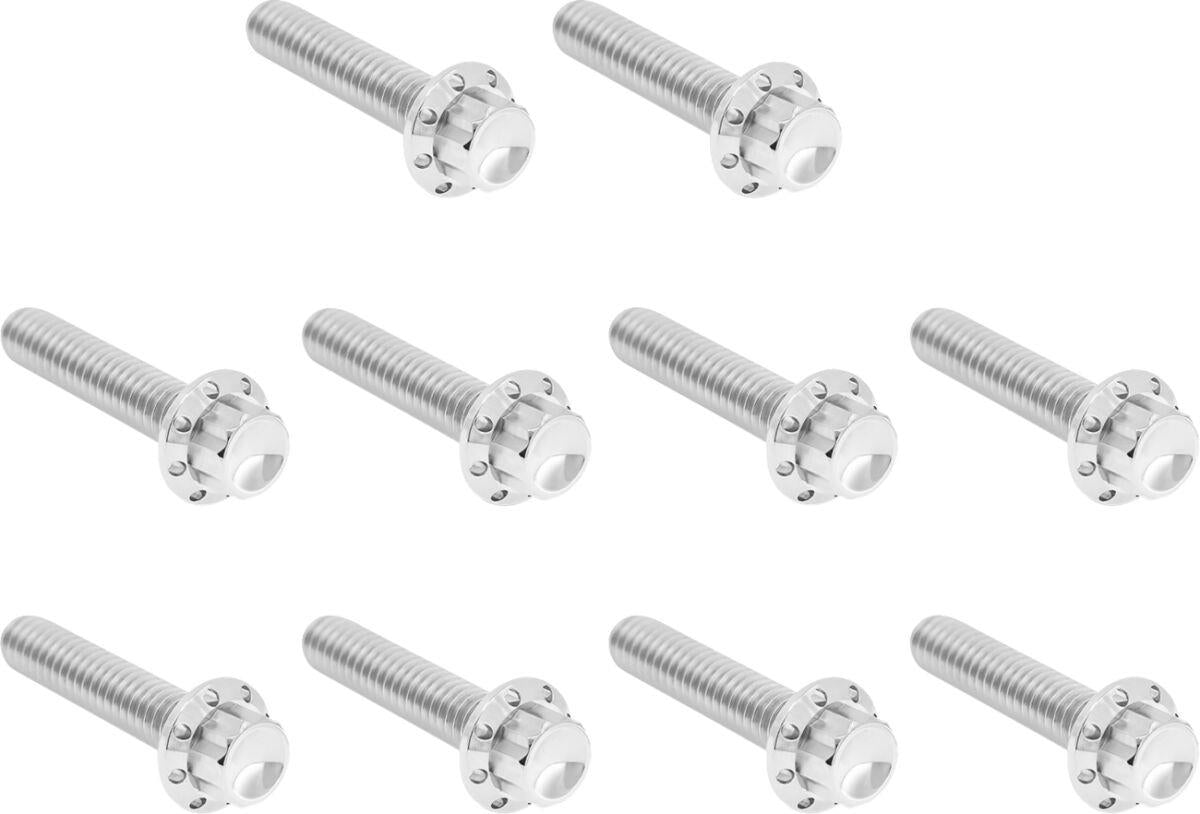 Arlen Ness Cam Cover/Point Cover Titanium 12-Point Bolt Kit 300-986