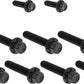 Arlen Ness Cam Cover/Point Cover Titanium 12-Point Bolt Kit Black 300-933