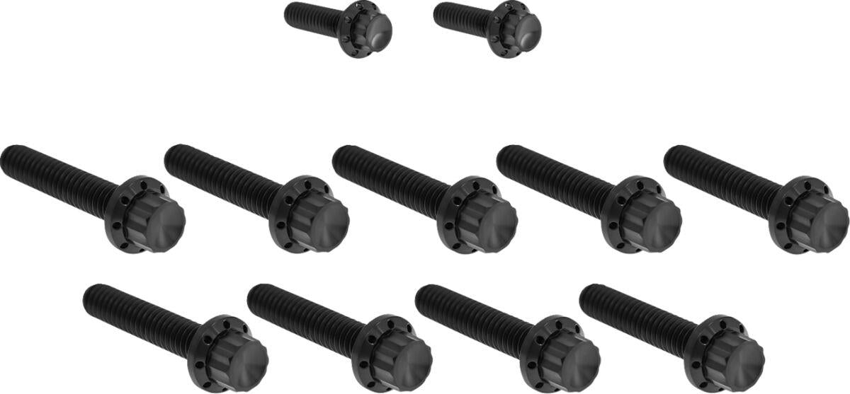 Arlen Ness Cam Cover/Point Cover Titanium 12-Point Bolt Kit Black 300-933