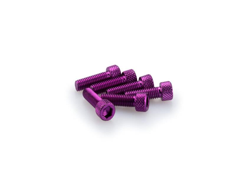PUIG M6 20mm Allen Screws x 6 Purple Universal 0364L