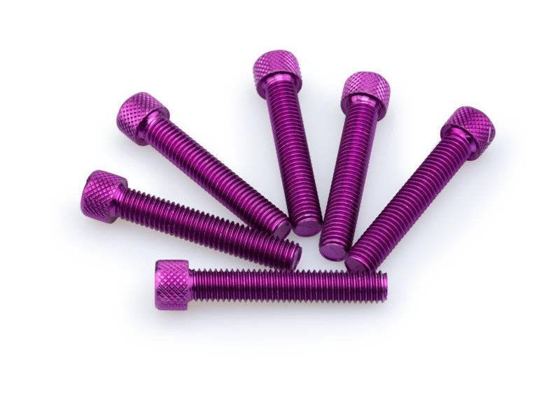 PUIG M8 45mm Allen Screws x 6 Purple Universal 0516L