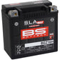 Bs Battery SLA MAX AGM Battery For BMW R 12 G/S 1985-2026 300931