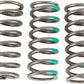 Pro Circuit Clutch Spring Set For Kawasaki KX 450 F 2006-2020 Set CSK19450-CS