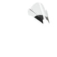 Puig Z-Racing Screen Clear 2193W