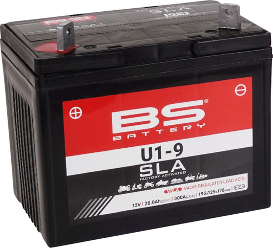 Bs Battery SLA Factory Activated AGM Battery For Yamaha YXE 1000 11-23 300901