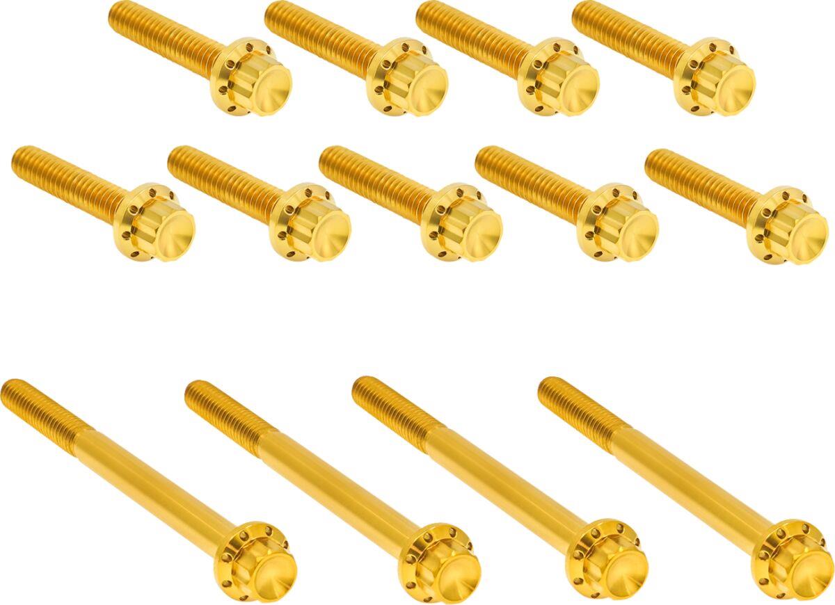 Arlen Ness Outer Primary Cover Titanium 12-Point Bolt Kit Gold Titanium 300-991