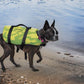 SLIPPERY Watersports Pet Vest S19 Yellow/Green