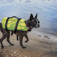 SLIPPERY Watersports Pet Vest S19 Yellow/Green