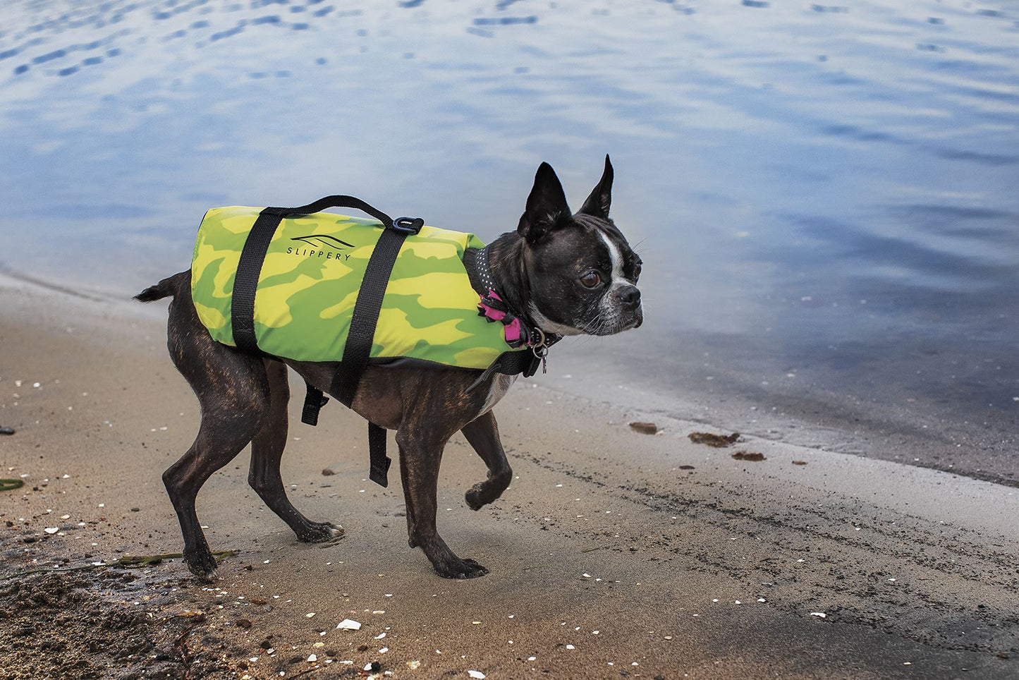 SLIPPERY Watersports Pet Vest S19 Yellow/Green