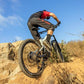 THOR Intense MTB Shorts Black/Gray/Red 2023 Model