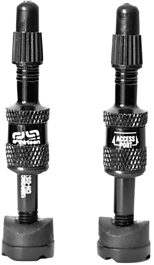 E*Thirteen Tubeless Valve Set 19-23mm Rim Depth TR2UNA-108