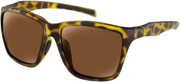 BOBSTER Anchor Brown Sunglasses BANC002P