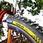 MICHELIN MTB Tyre Wild XC Racing Line 29X2.35