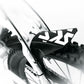 SKS Flap Guard BLACK 11653