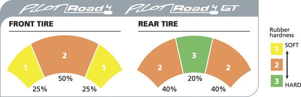 MICHELIN Pilot® Road 4 Gt DualCompound Sport Touring Radials GT 190/55ZR17 (75W) TL Tyre