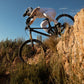 MICHELIN MTB Tyre Wild Enduro Racing Line 29X2.40 RR