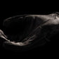 ICON Punchup CE™ Gloves Black - 2023 Model